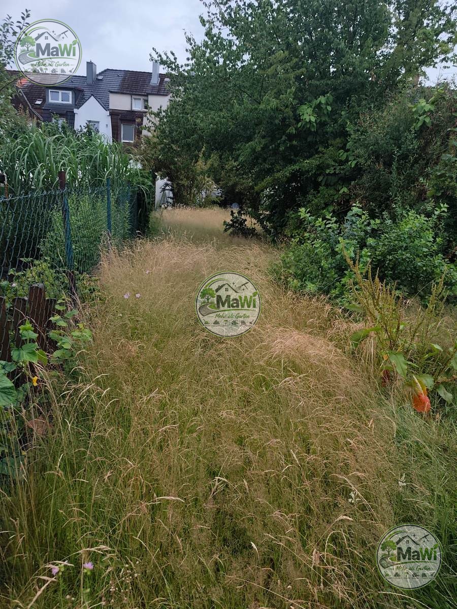 Grundstück vor der Gartenpflege durch MaWi